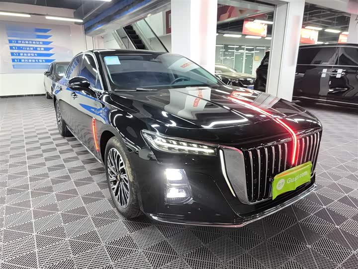 Фото 4 - Hongqi H5