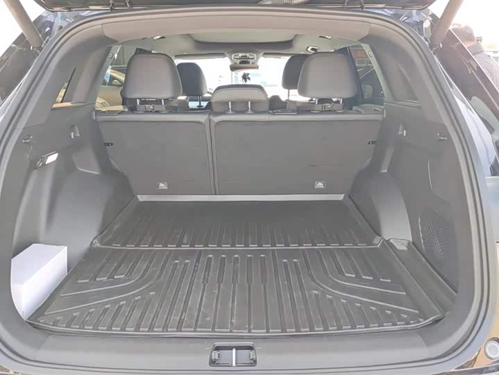 Фото 4 - Geely Monjaro