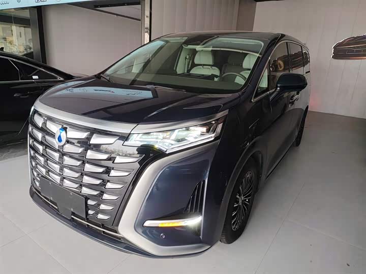 Фото 1 - Denza D9