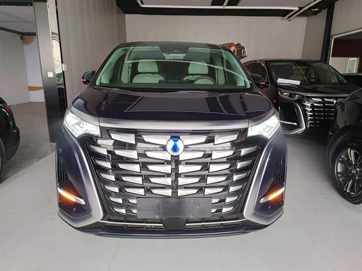 Фото 3 - Denza D9