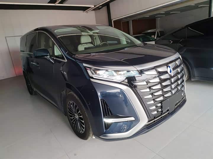 Фото 4 - Denza D9