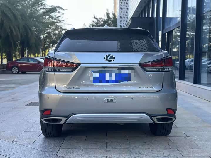 Фото 6 - Lexus RX