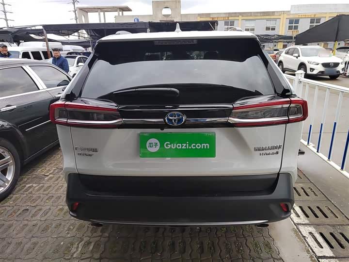 Фото 6 - Toyota Wildlander