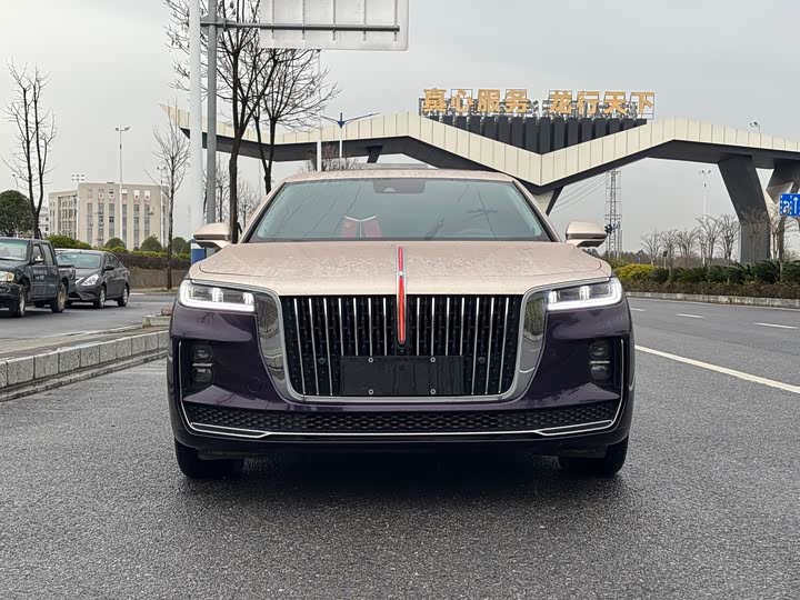 Фото 2 - Hongqi H9