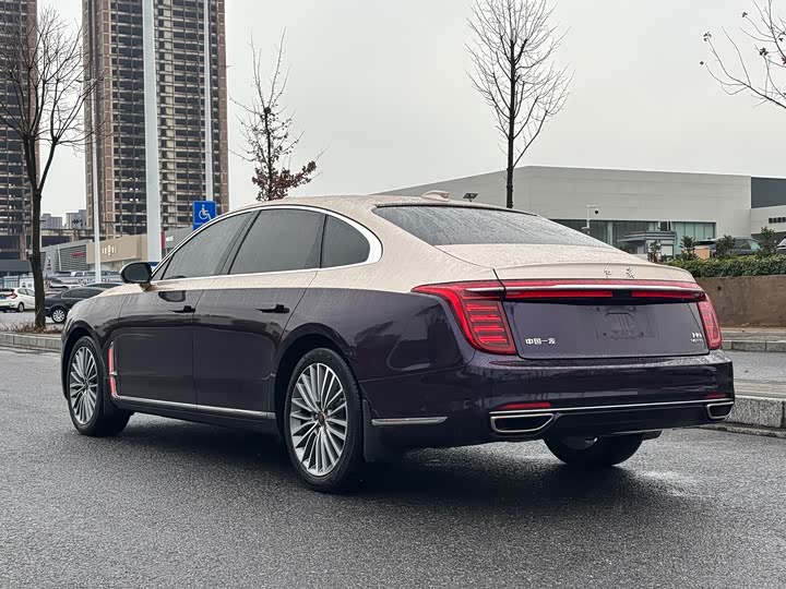 Фото 5 - Hongqi H9