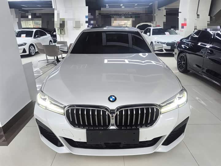 Фото 3 - BMW 5 Series Hybrid