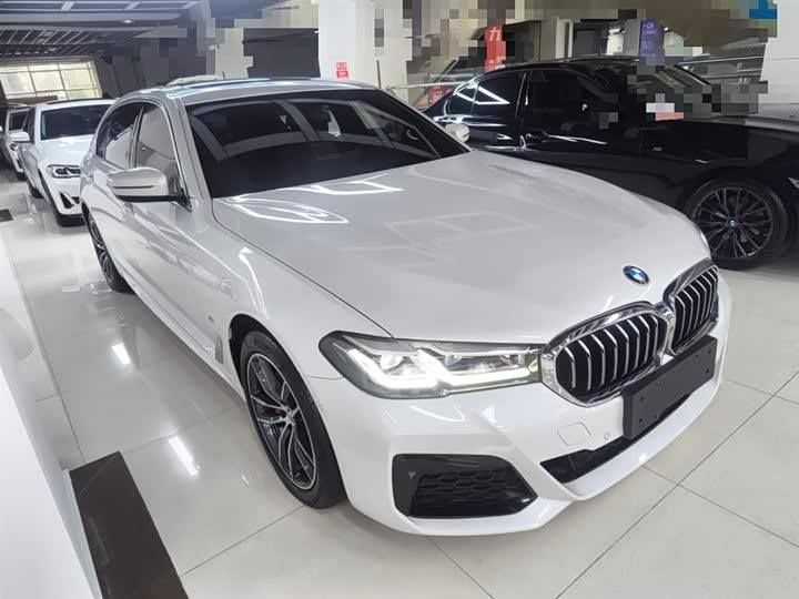 Фото 4 - BMW 5 Series Hybrid