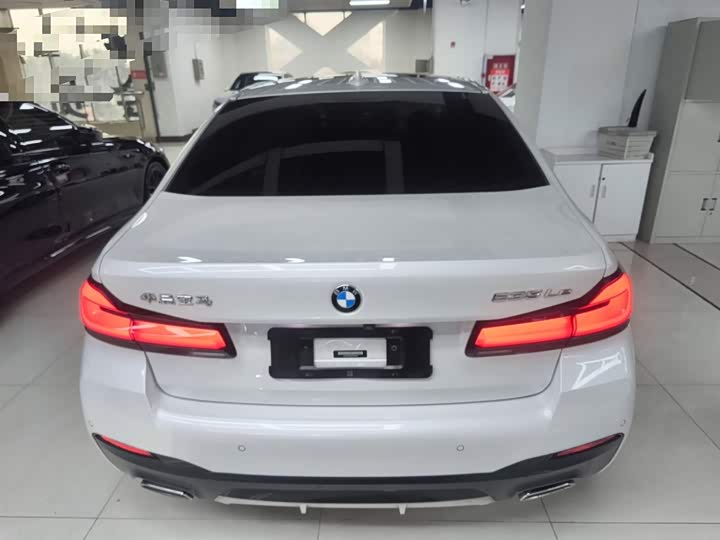 Фото 6 - BMW 5 Series Hybrid