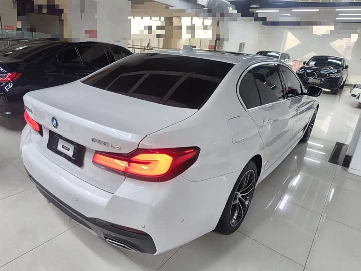 Фото 7 - BMW 5 Series Hybrid