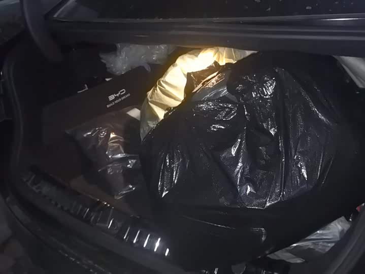 Фото 4 - BYD Qin Plus