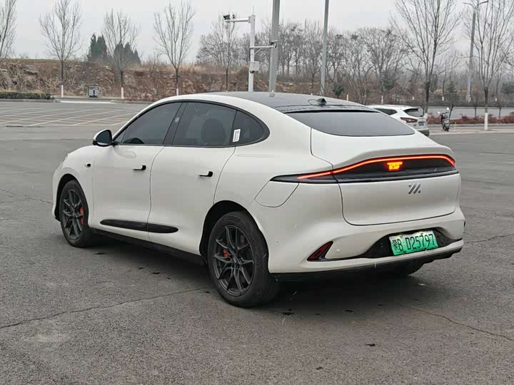 Фото 6 - IM motors LS6