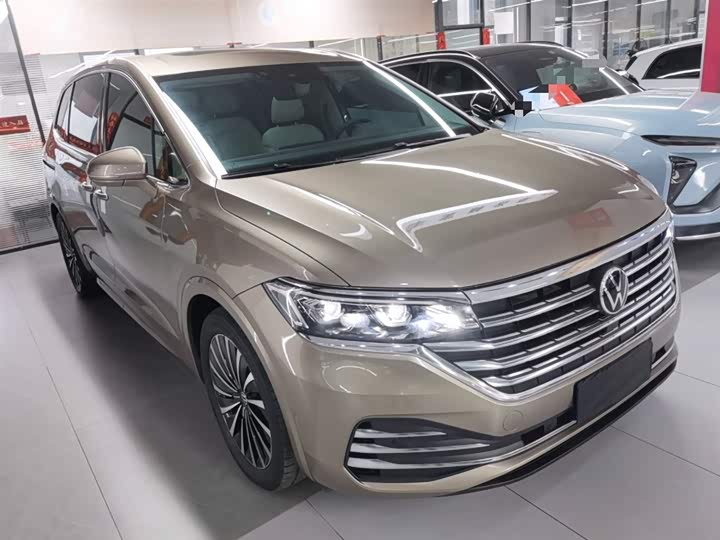 Фото 4 - Volkswagen Viloran