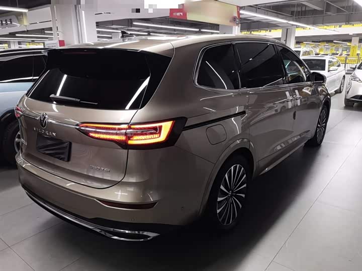 Фото 7 - Volkswagen Viloran