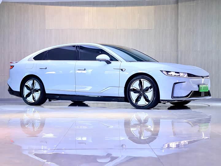 Фото 4 - Voyah Passion