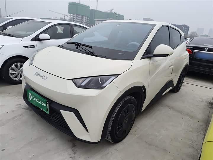 Фото 2 - BYD Seagull