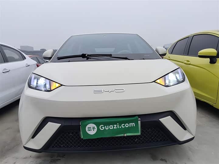 Фото 3 - BYD Seagull