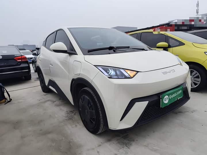 Фото 4 - BYD Seagull