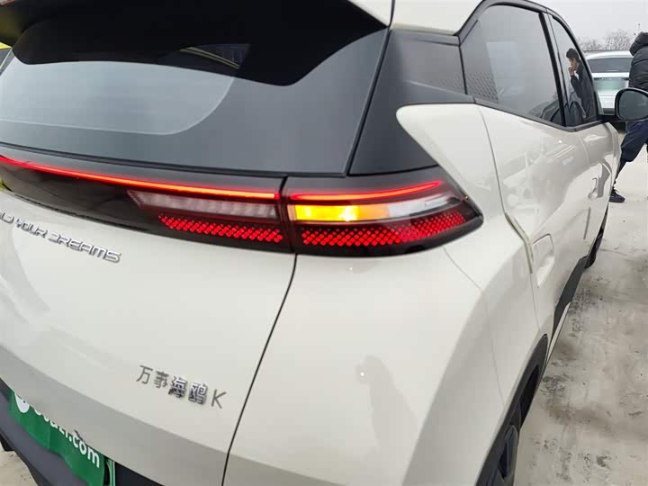 Фото 8 - BYD Seagull