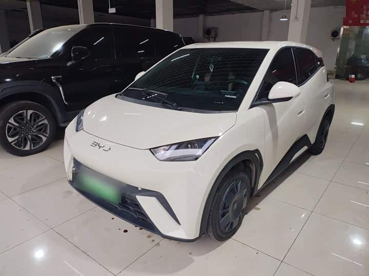 Фото 2 - BYD Seagull