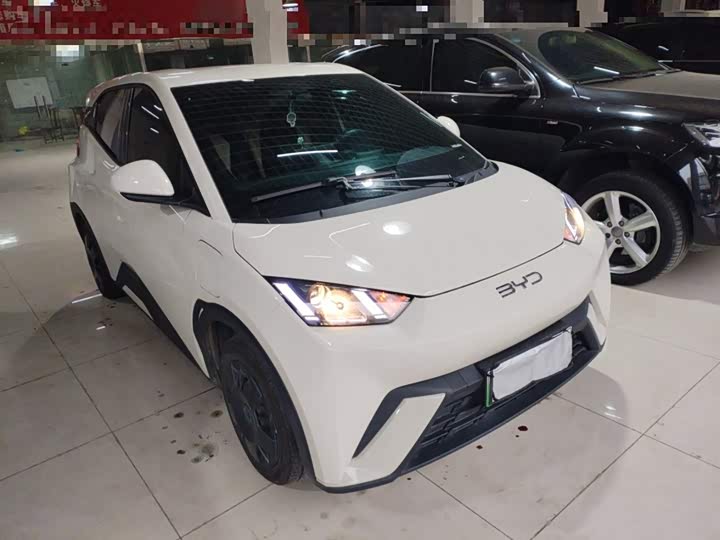 Фото 4 - BYD Seagull