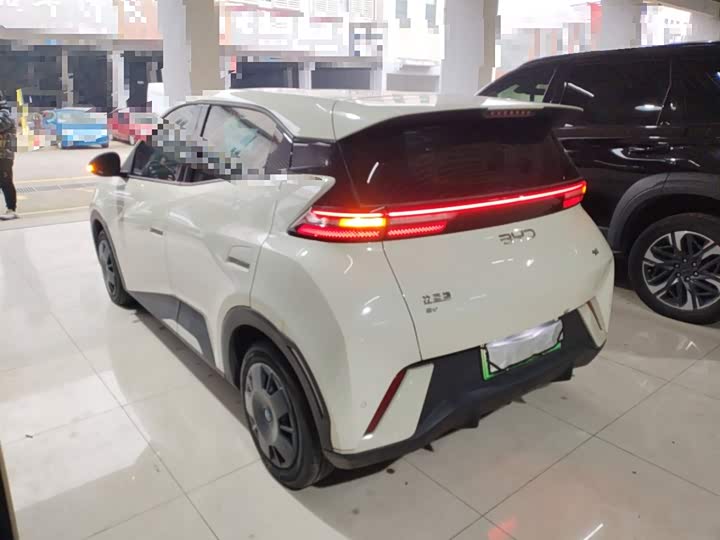 Фото 5 - BYD Seagull