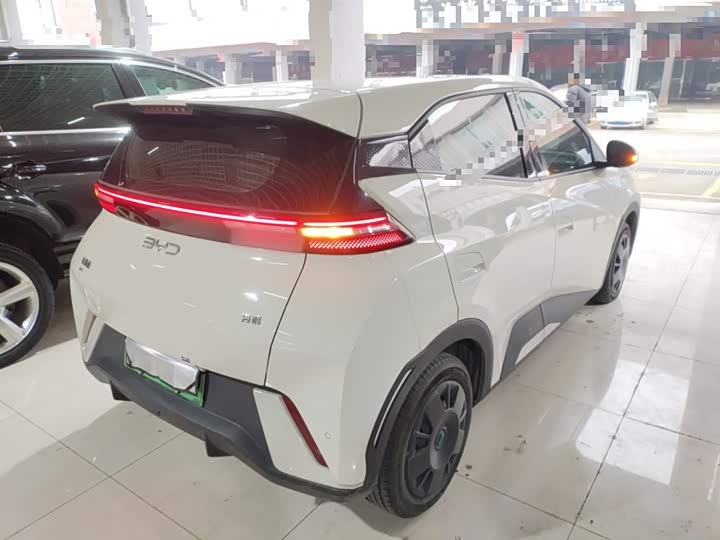 Фото 7 - BYD Seagull