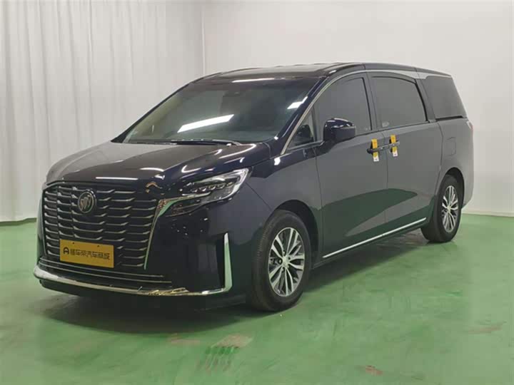 Фото 1 - Buick GL8 ES