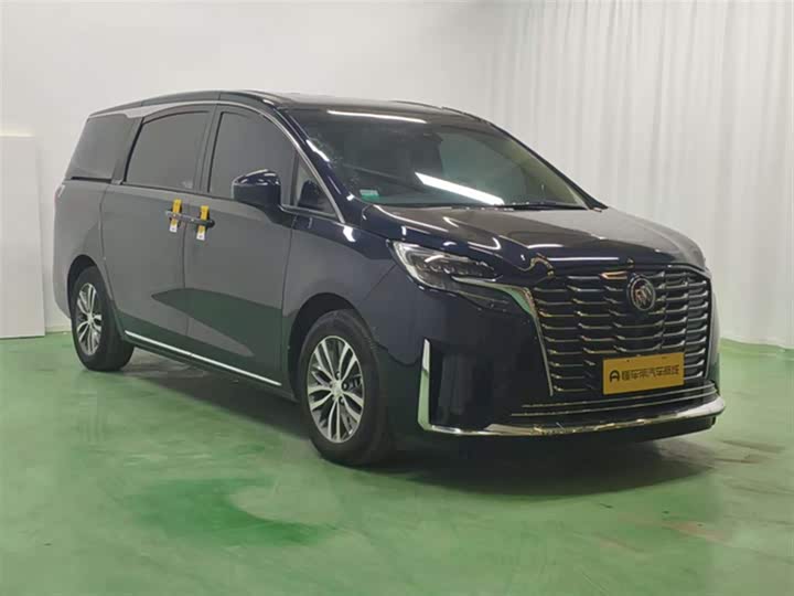 Фото 4 - Buick GL8 ES