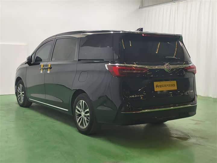 Фото 6 - Buick GL8 ES