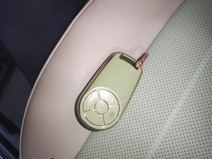 Фото 9 - Ora Ballet Cat