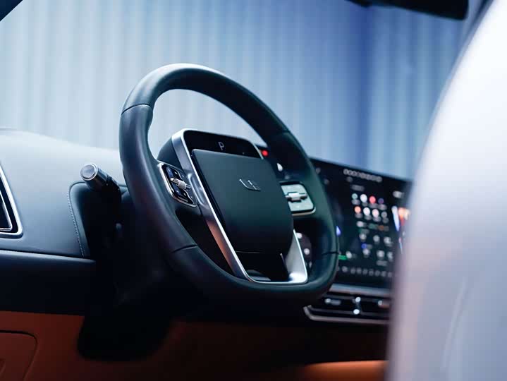 Фото 8 - LiXiang L9