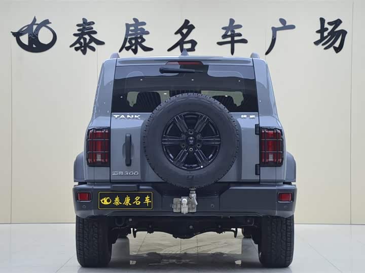 Фото 3 - Tank 300