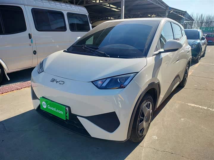 Фото 2 - BYD Seagull