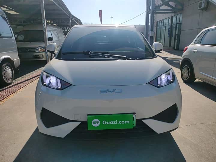 Фото 3 - BYD Seagull