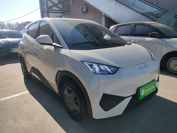 Фото 4 - BYD Seagull