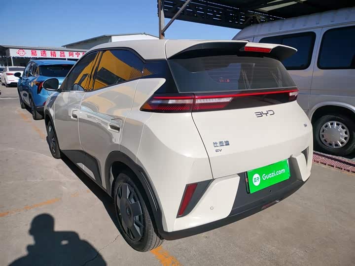 Фото 5 - BYD Seagull