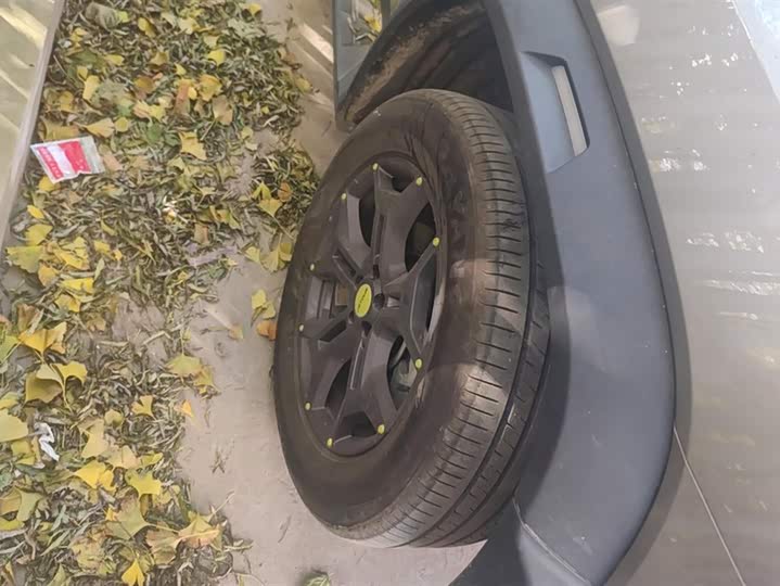 Фото 6 - Jetour T2