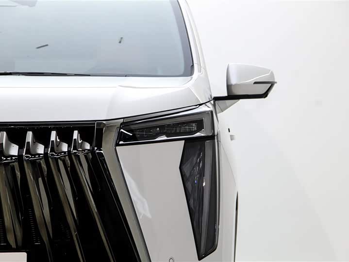 Фото 9 - GAC Trumpchi E9