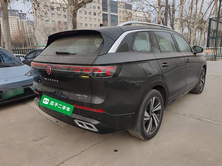 Фото 7 - Volkswagen Tavendor