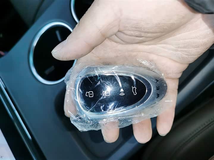 Фото 9 - Wey Mocca Hybrid