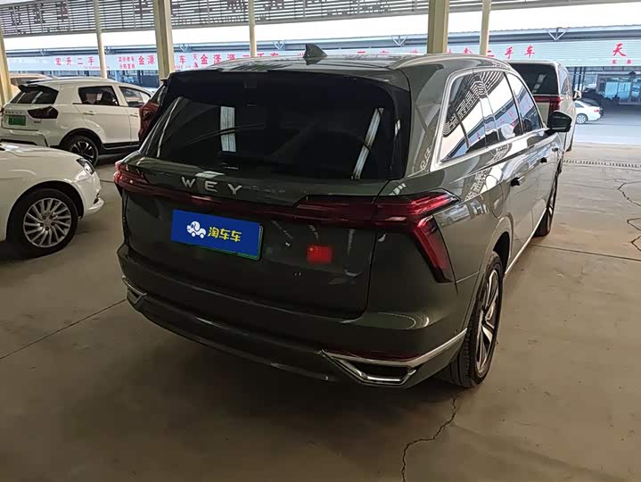 Фото 3 - Wey Lanshan