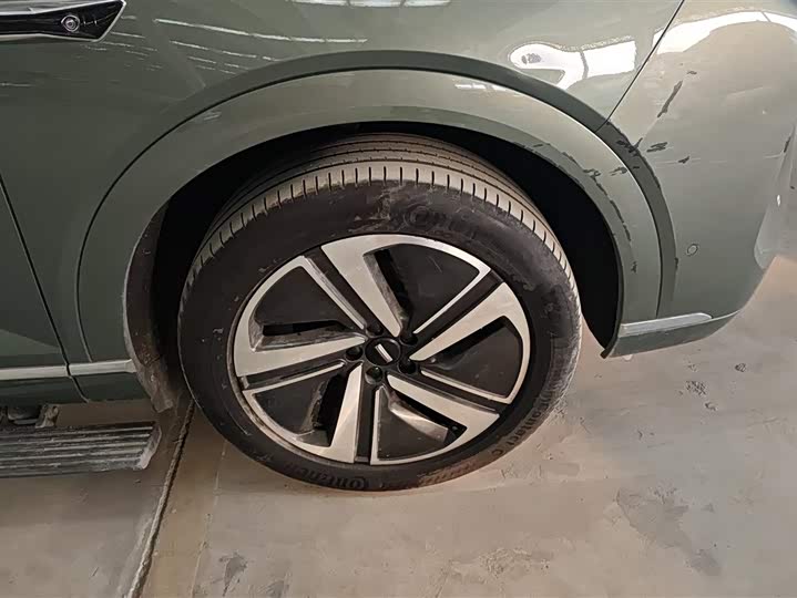 Фото 6 - Wey Lanshan