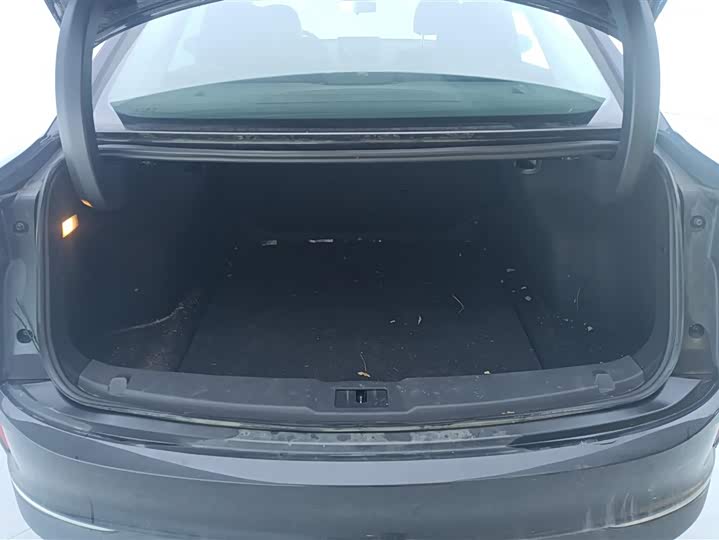 Фото 4 - Hongqi E-QM5