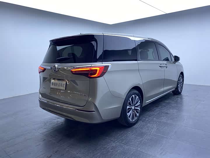 Фото 4 - Buick GL8 ES