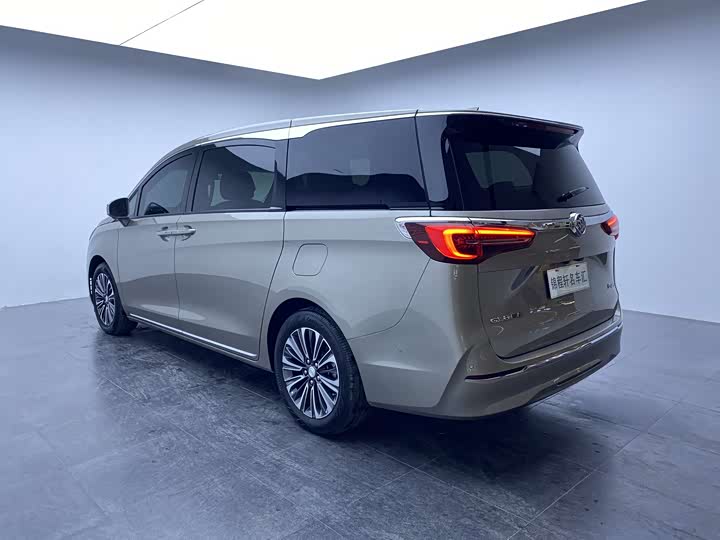 Фото 5 - Buick GL8 ES