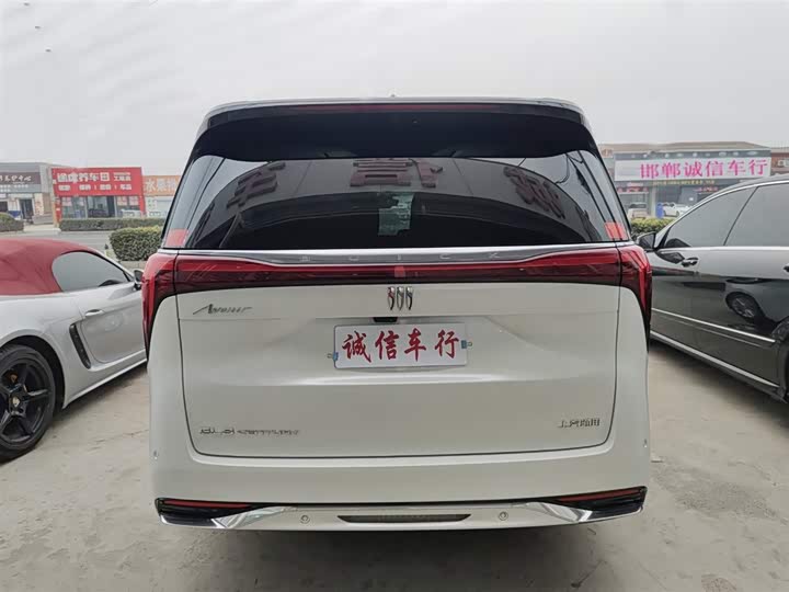 Фото 5 - Buick GL8 Century