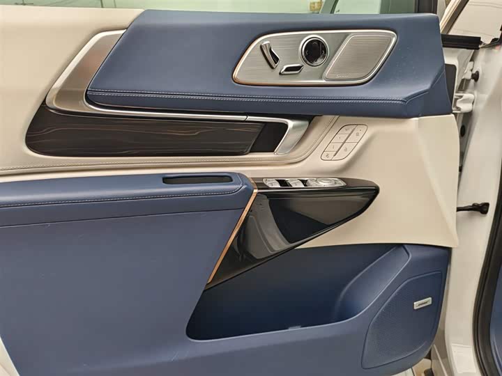 Фото 8 - Buick GL8 Century