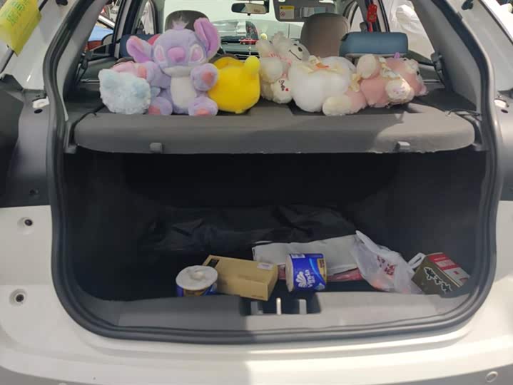 Фото 4 - Chery Tiggo 3x