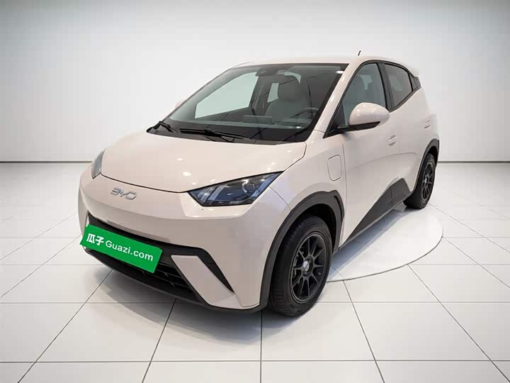 Фото 1 - BYD Seagull