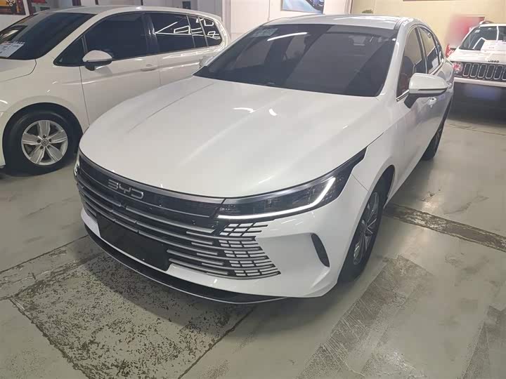 Фото 2 - BYD Destroyer 05